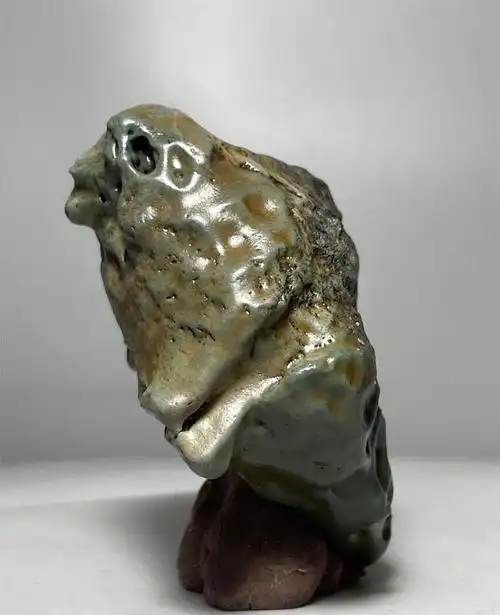 奇石界的动物世界,一饱眼福!