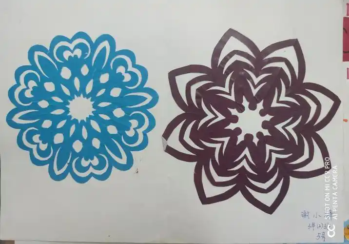 对称之美——双流中学万科实验学校三年级学生《轴对称》作品展示