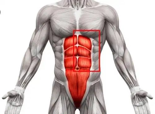 皇马官方:阿扎尔腹部左前直肌肌肉受伤;预计伤缺4-6周