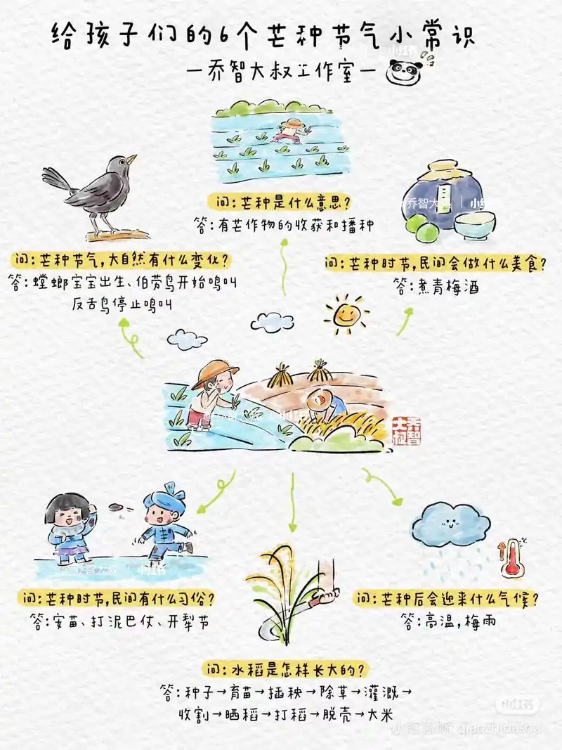 6个芒种节气小常识图鉴.