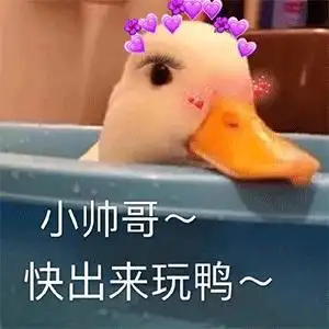 小帅哥快来玩呀猫和老鼠搞笑挑衅gif动图_动态图_表情包下载_soogif