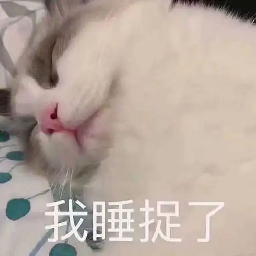 萌宠喵星人我睡着了睡觉搞怪逗gif动图_动态图_表情包下载_soogif