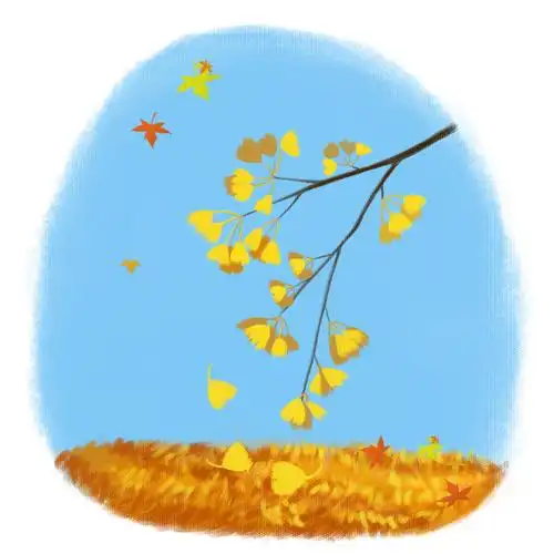 落叶·秋