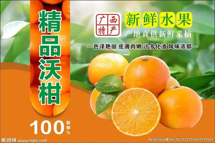 精品沃柑海报设计图__海报设计_广告设计_设计图库_昵图网nipic.com