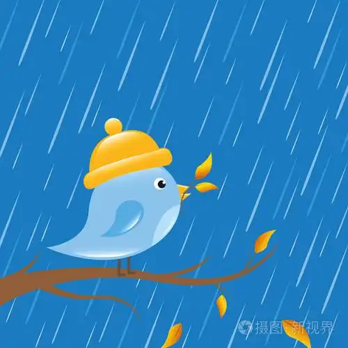 秋天的小鸟在雨天动画片