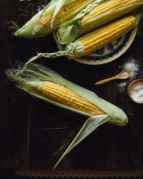 黑色背景上的玉米棒