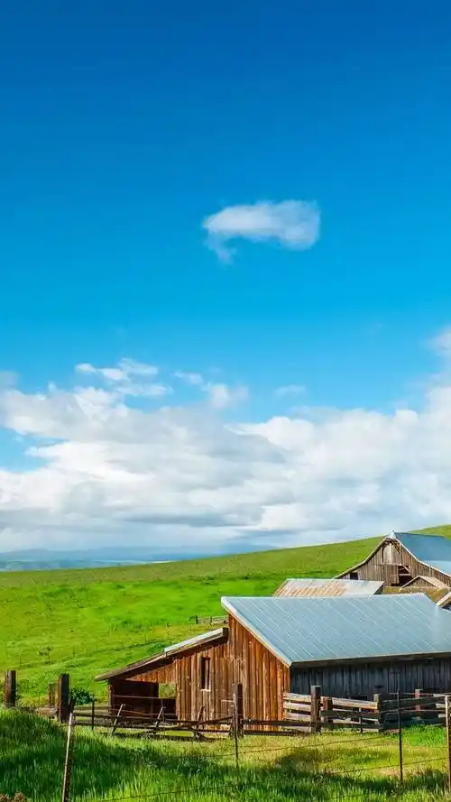 绿野,唯美风光,小清新,护眼,自然美景,春天,手机壁纸蓝天草原