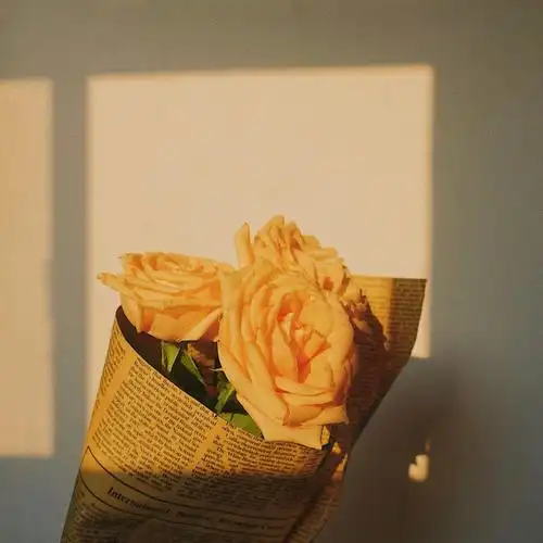 黄昏玫瑰朋友圈背景图ins