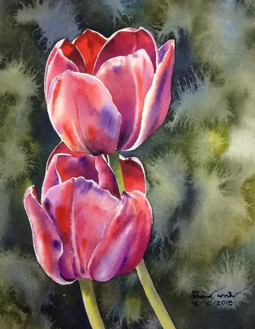 色彩清丽画面清新泰国画家kitipongti水彩花卉作品