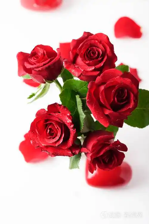 红色新鲜玫瑰花束透明玻璃花瓶
