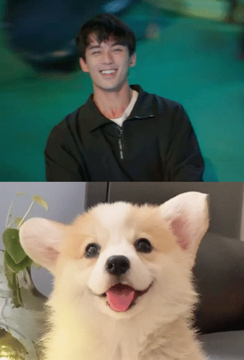 吴磊新剧是治愈小狗##宋三川人模狗狗样