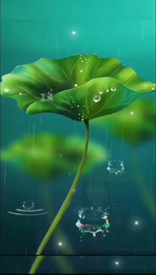 心如连花,淡淡人生静静过,唯美意境.