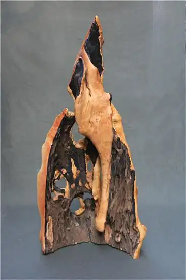王贵祥贵州特色文玩天然枯块树洞野生木大摆件根雕