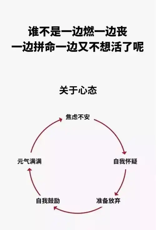 25张概括你人生的图片只有成年人才能看懂