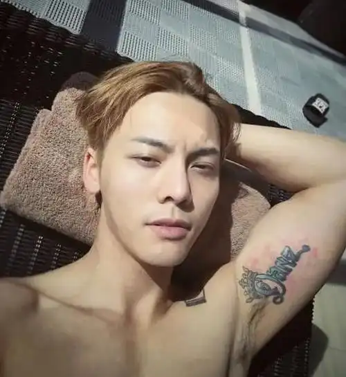 刺青纹身系列图案(5位有"纹身"的明星,张柏芝全身10几个,胡歌竟纹了"