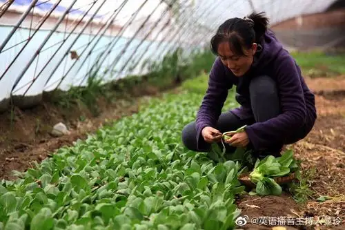 新农人的新理念在悄悄改变我们