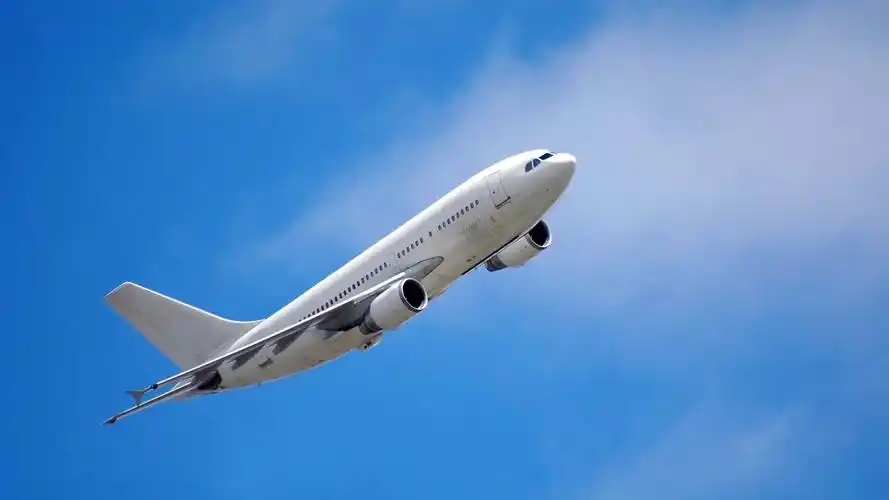 遨游蓝天的飞机壁纸