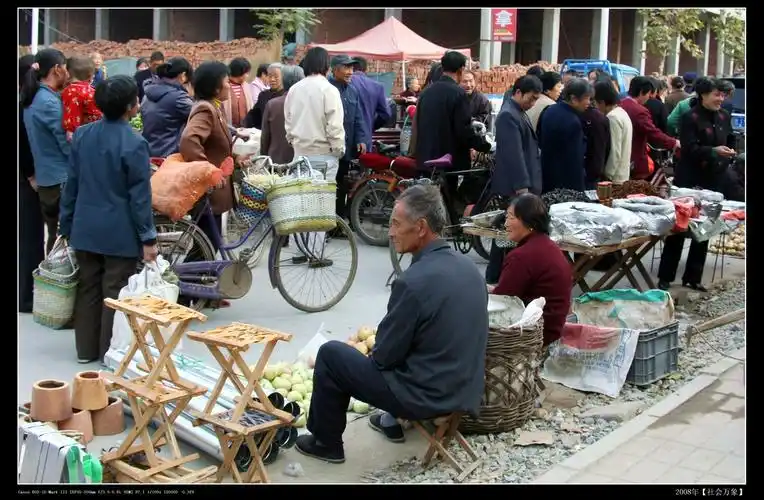乡村集市之六 (2008年 )
