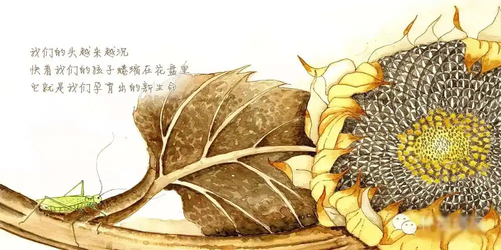 儋州市第一幼儿园有声绘本《向日葵的故事》