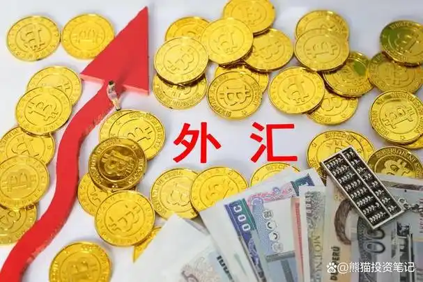 中国外汇储备超3万亿,其中近1万亿购买美债,那不买美债行不行