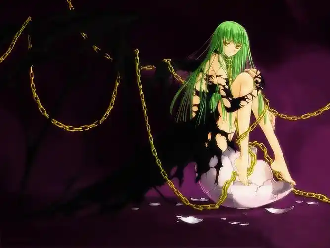 求动漫黑色翅膀图片一张.(必须按要求)