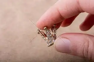 手拿珍珠模型皇冠