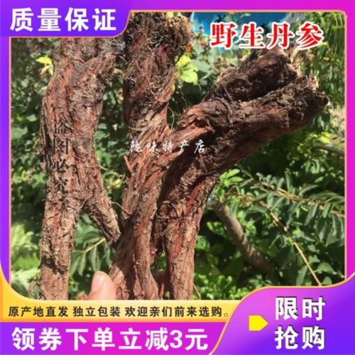 甘肃特级野生丹参500g克包邮深山采挖中药材丹参多年生长整根
