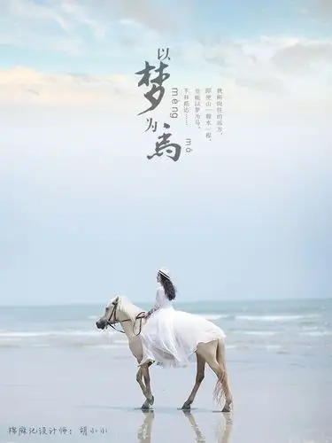 以梦为马海报.jpg