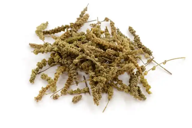 荆芥用于散全身的风邪,荆芥穗用于散头部的风邪,荆芥炭用于止血