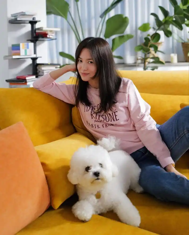 宋慧乔生活照,42岁的她皮肤和发质都很好,看起来非常年轻.