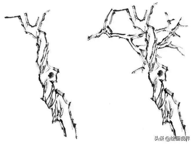 怎么画树(画国画树不会画)