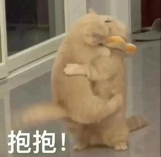 发给对象的甜甜猫咪情侣表情包