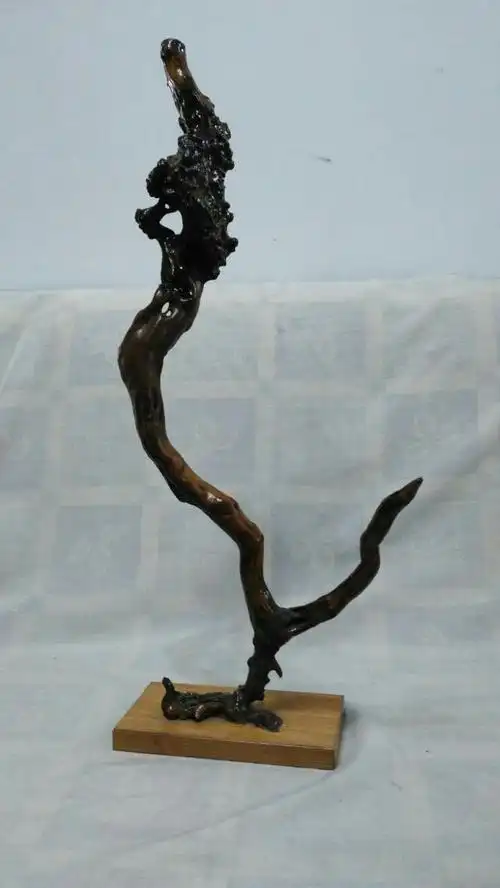 神趣天然,我的根艺园,作者,谢宝魁.(三)