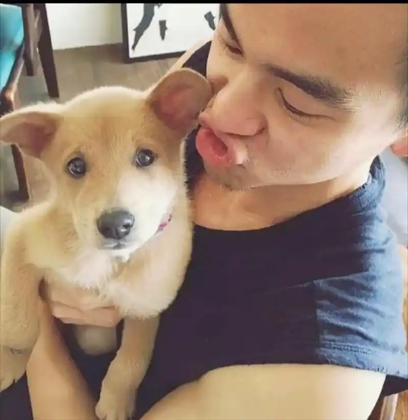 彭于晏如今还单身,现在去考经纪人证还来得及么?