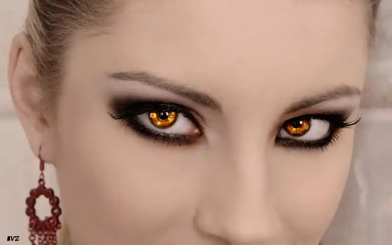 人物资料 查看图片  上传于 2010-08-11 10:54 (180 kb)  查看原图