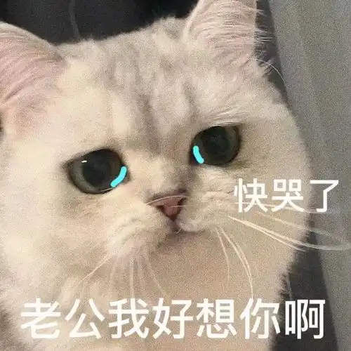 快哭了老公我好想你啊_老公_好想你表情