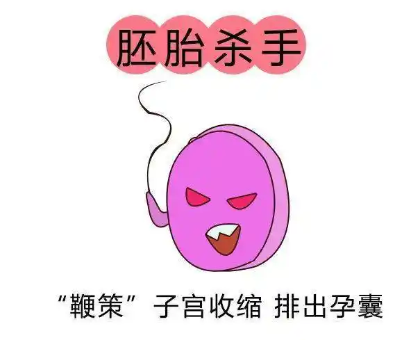 怀孕两个月还能药流?妇科医生说了真相._药物_咨询_诊断