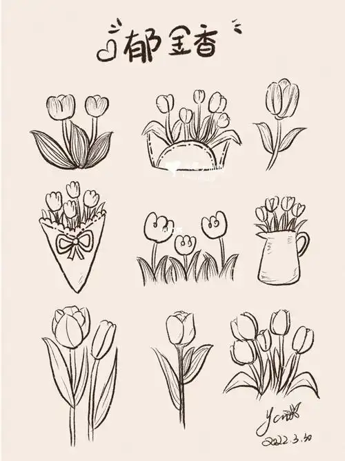 画个简笔画春天当然要有郁金香
