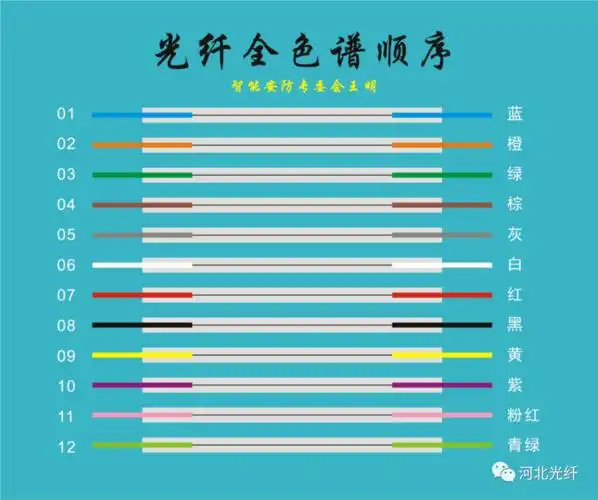 从中,你可以看到有多少熔接点,有没有备用纤芯,是什么颜色的