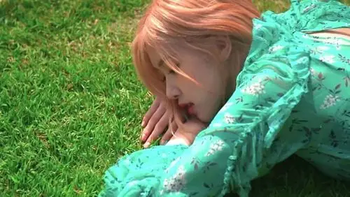 rose 朴彩英jennielisakim jisoo夏威夷写真拍摄花絮,浓郁的夏日气息