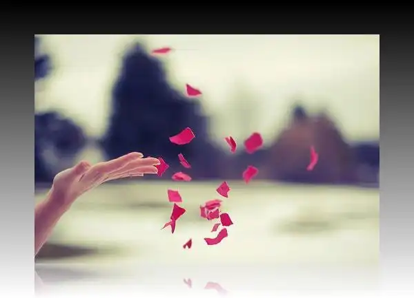 放手并不是我输了,而是我懂了