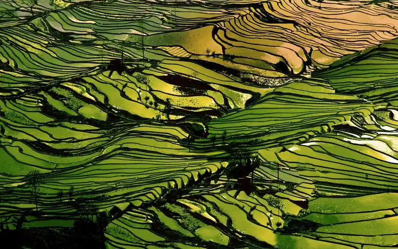 哈尼梯田,美丽的风景,中国 640x1136 iphone 5/5s/5c/se 壁纸,图片