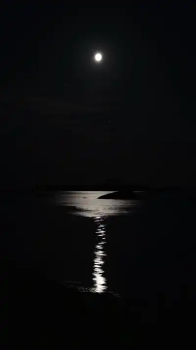 黑色背景图社会