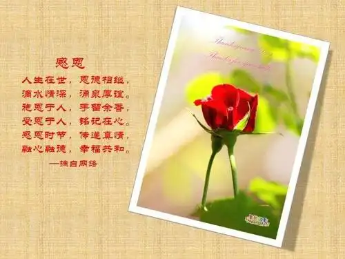 一封感恩信一一写给我生命中的贵人(渑池824李爱红)