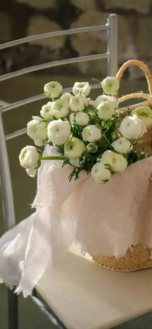 wechat聊天背景图 | 手机壁纸