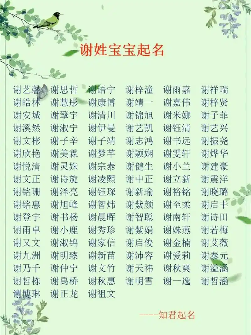 谢姓宝宝起名改名,令人惊艳的宝宝名字