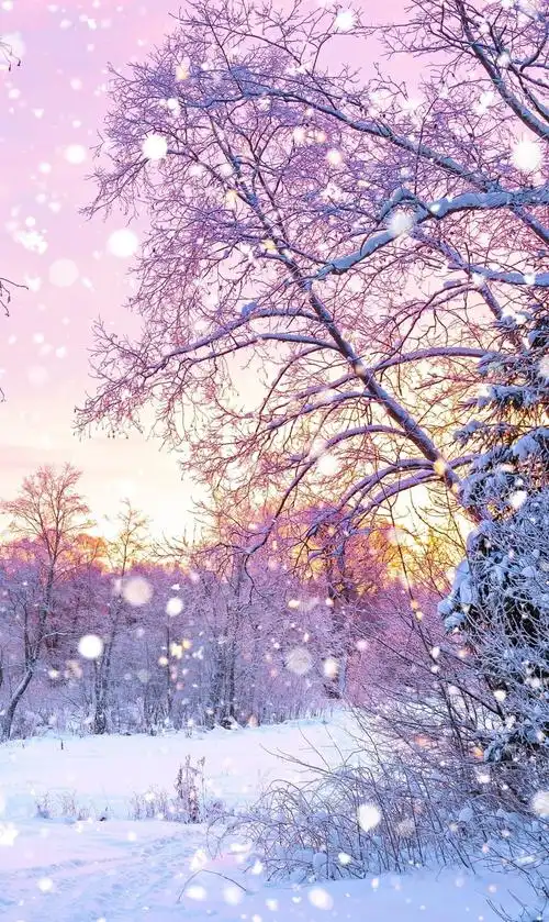 有关雪花的手机壁纸来让手机融入到这冰天雪地的美丽世界吧
