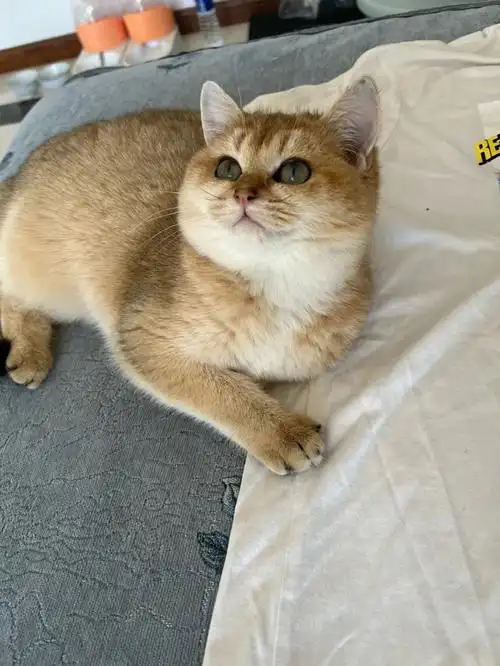 小时候嘴套小,长大还有的救嘛