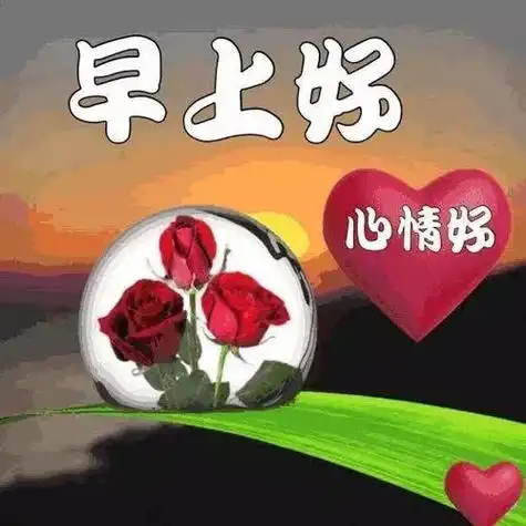 早上问候女朋友的情话(早上问候女朋友的情话 幽默)-情感知识库-donow