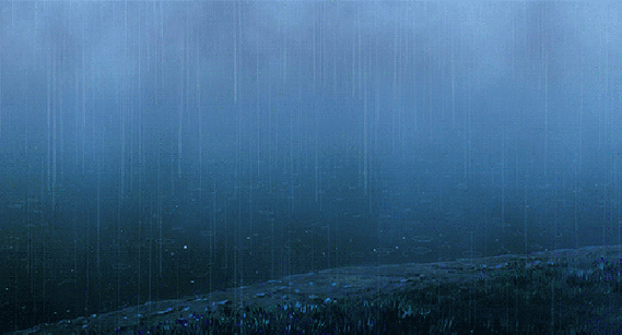 600_324gif 动态图 动图